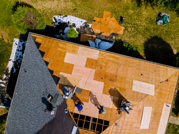 Best Roof Gutter Cleaning  in Mansfield Center, CT